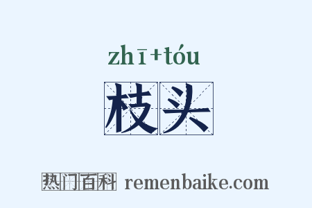 枝头是什么意思的图片